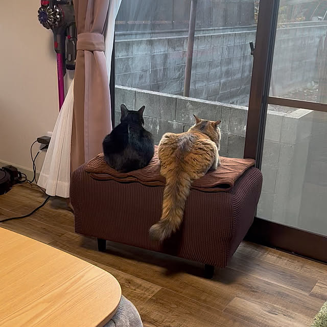 Suさんの部屋