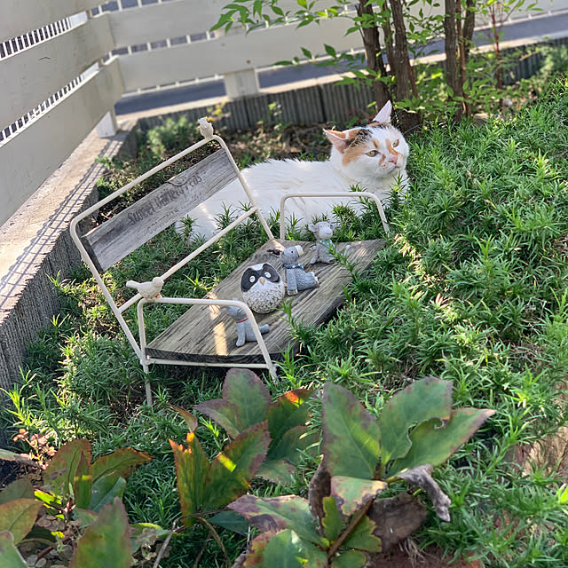 odekoさんの実例写真