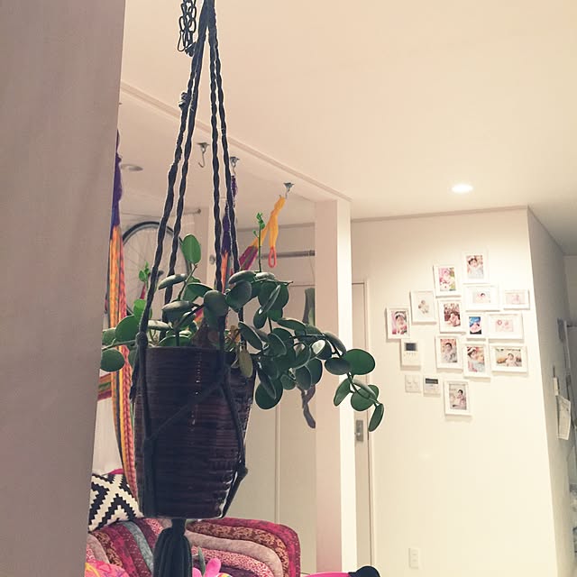 Hiさんの実例写真