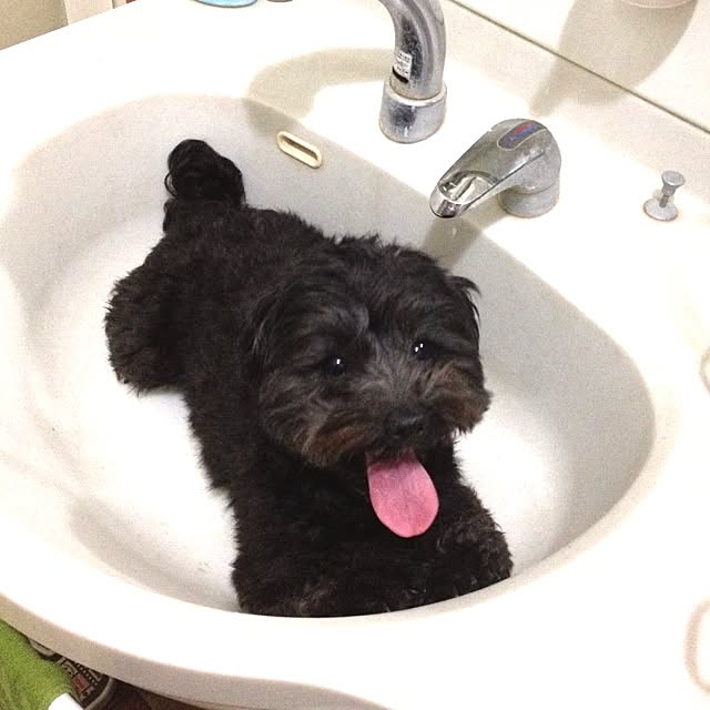 makiさんの実例写真