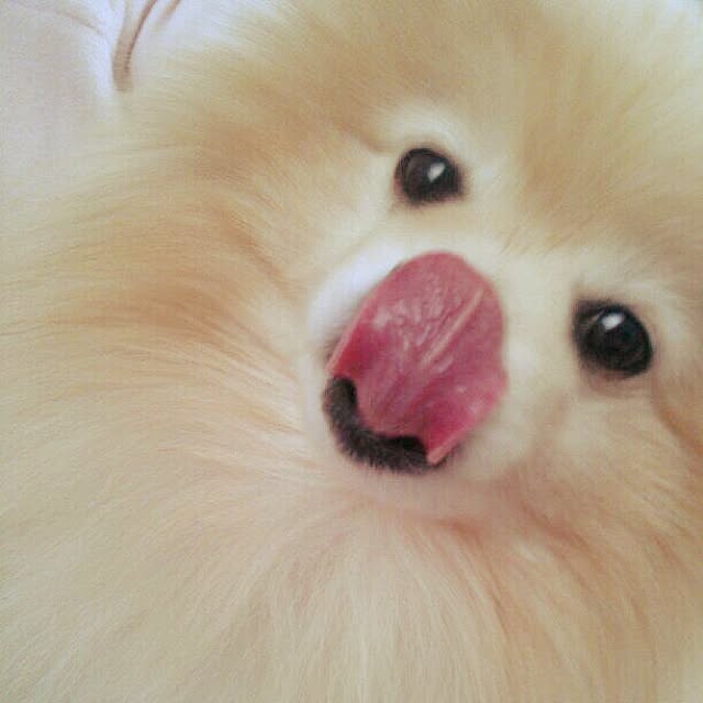 mayuさんの実例写真