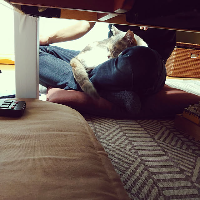 fukuさんの実例写真