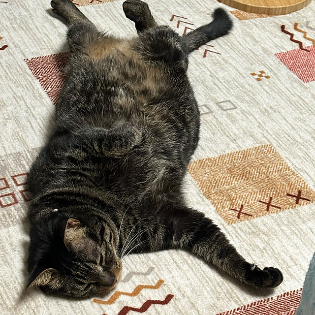 momocchiさんの実例写真