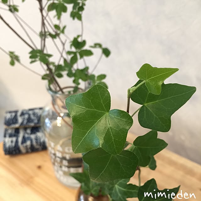 mimiedenさんの実例写真