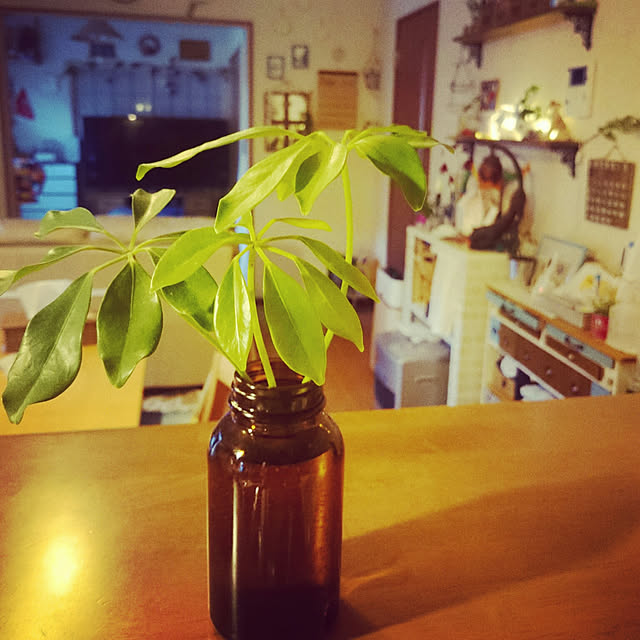 mofukoさんの実例写真