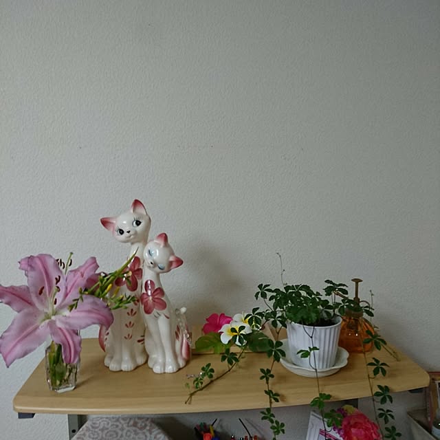 jkandkz5556さんの実例写真