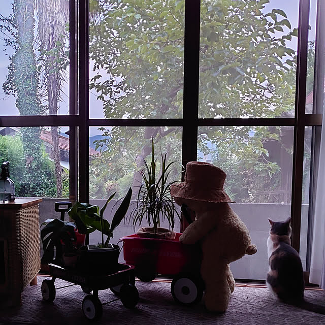 fukuさんの実例写真