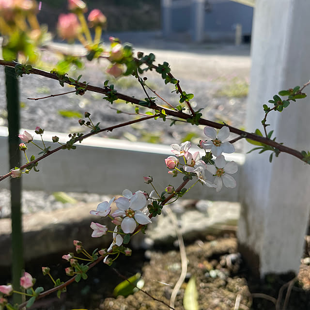 kmys0625さんの部屋