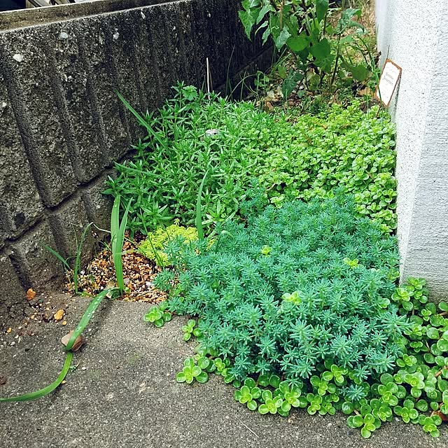 meiさんの実例写真