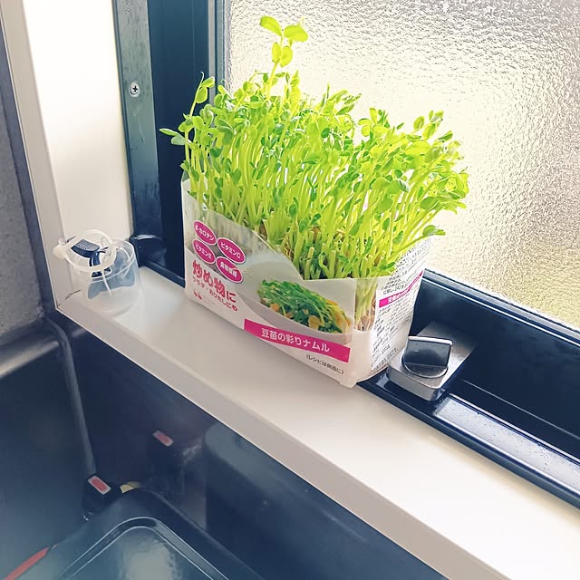 Spicaさんの部屋