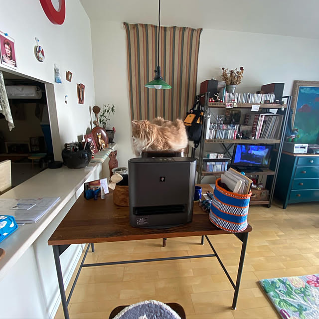 ZIGGYさんの実例写真