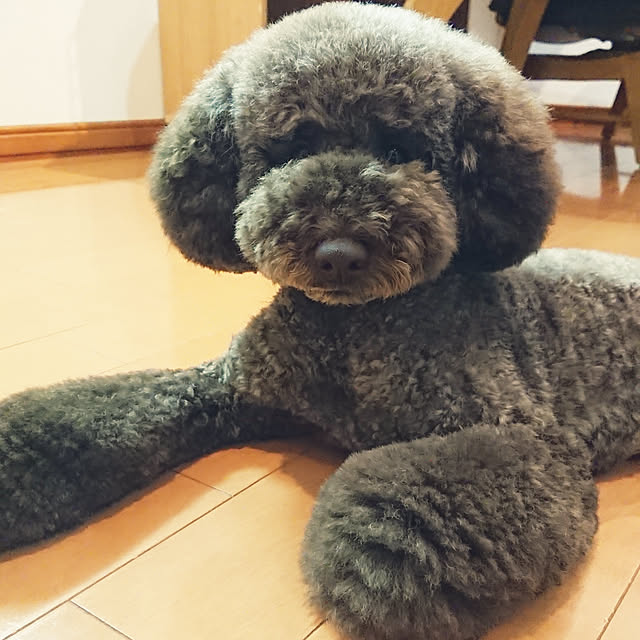 ot-gardenさんの実例写真