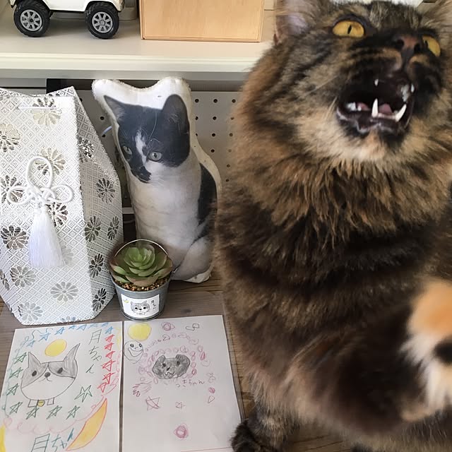 mikomaruさんの実例写真