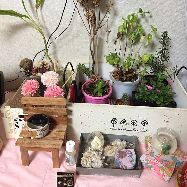 horurunさんの実例写真