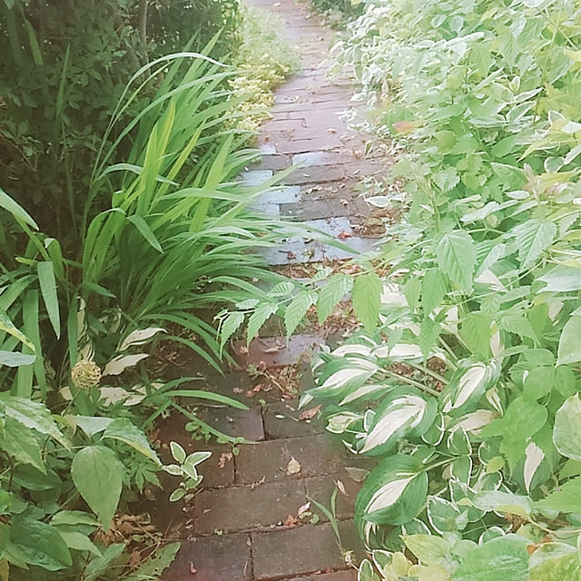 chi.e.ko.310310さんの実例写真