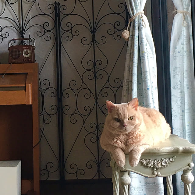 naokoさんの部屋