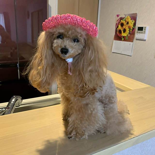 ROSEさんの実例写真