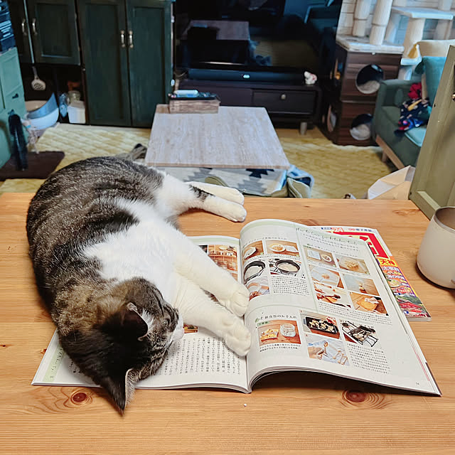 sumoanzuさんの実例写真