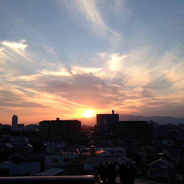 実例写真