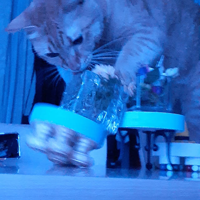 amtさんの実例写真