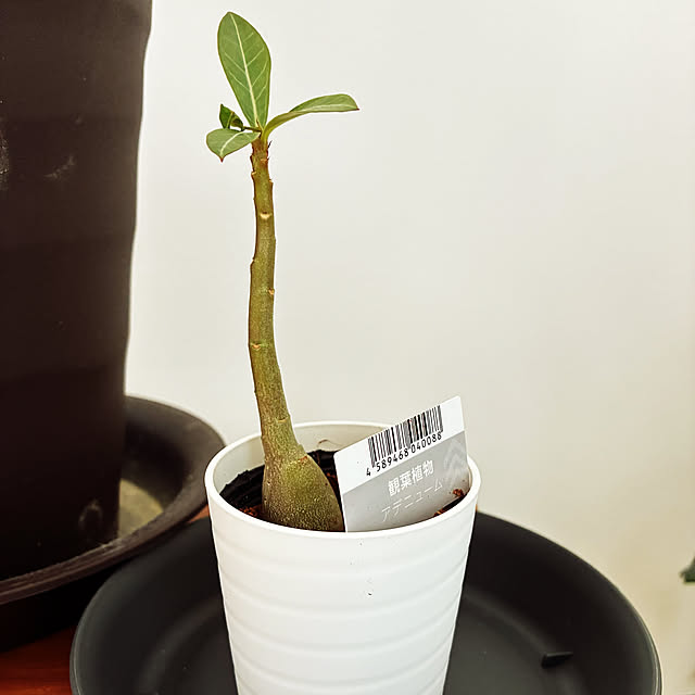 sansanさんの実例写真