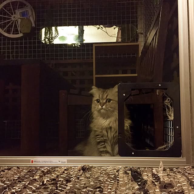 butachanさんの実例写真