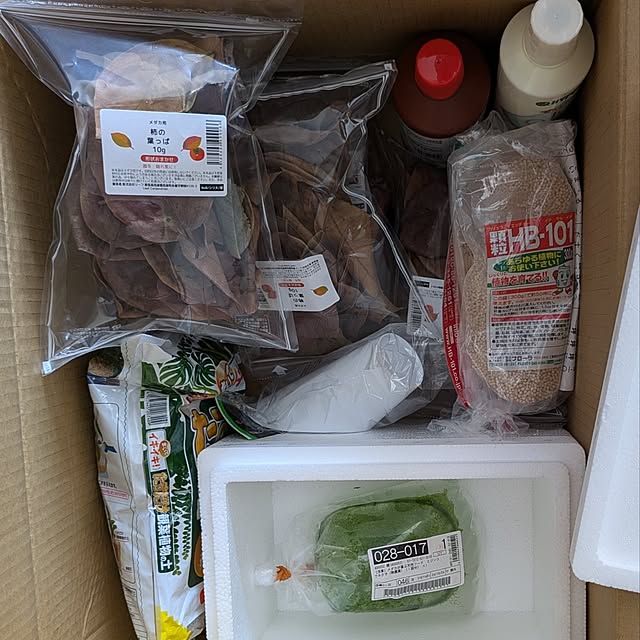 mi-saさんの部屋