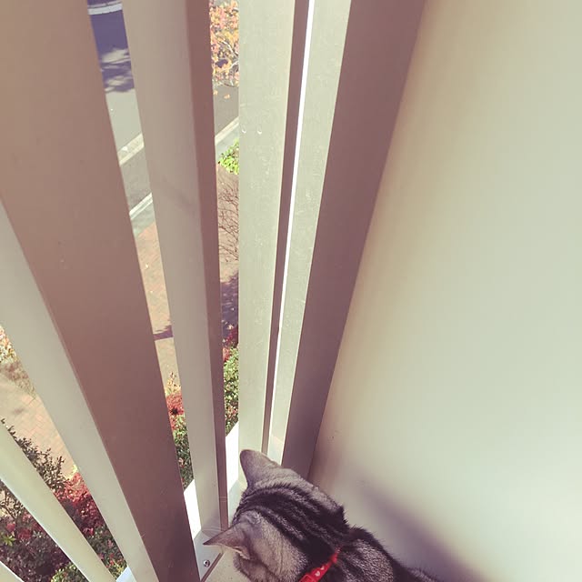 hiyupan88さんの実例写真