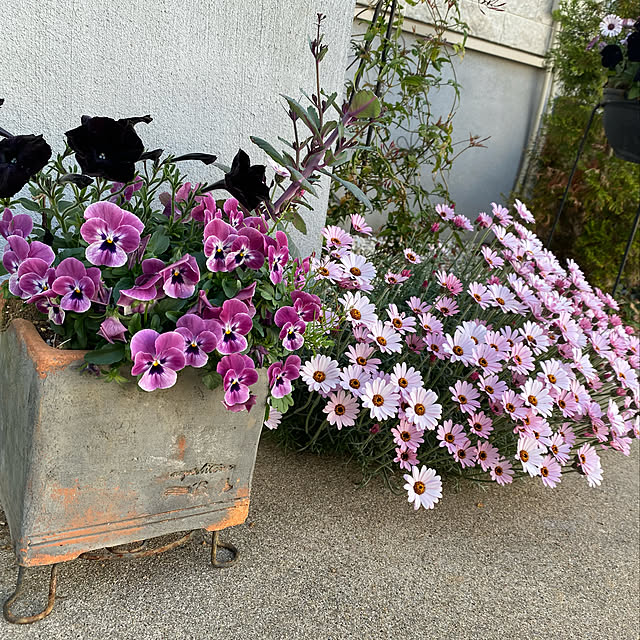 tamさんの実例写真