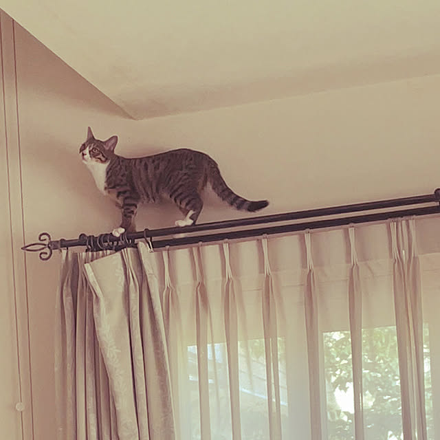 yuko.cccさんの実例写真