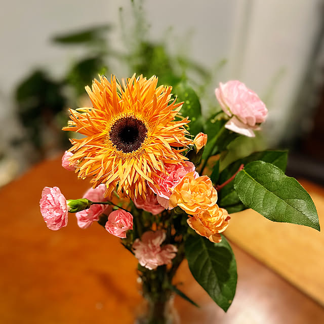 hanahana1444さんの部屋