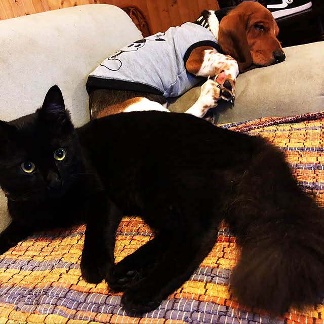 chocolatさんの実例写真