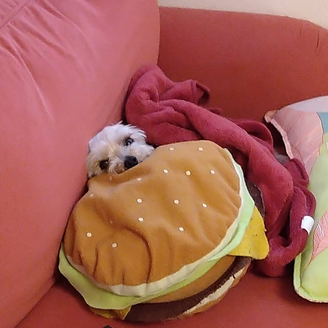 321さんの実例写真