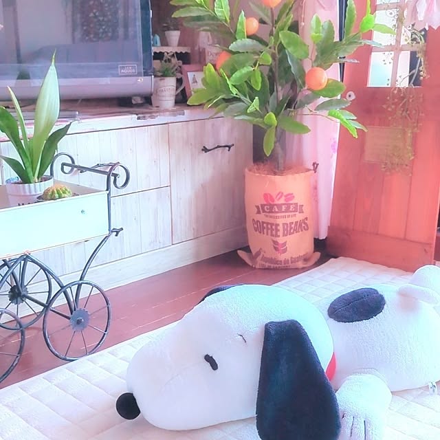 harumoeさんの実例写真