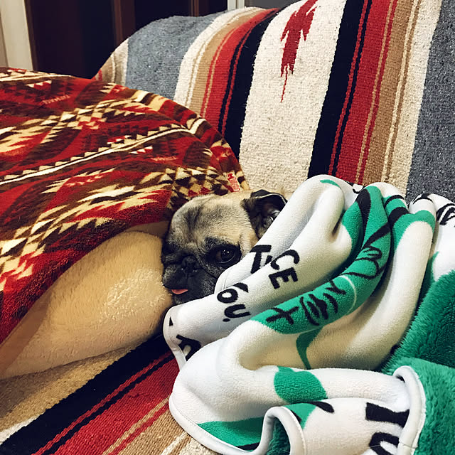 kellyさんの実例写真