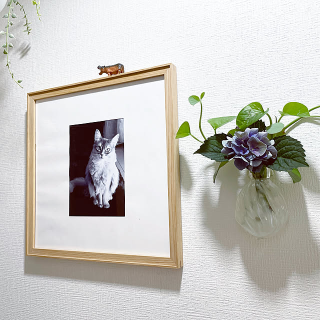 shihoさんの実例写真