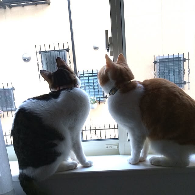 Michikoさんの実例写真