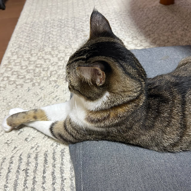 nacchi4さんの部屋