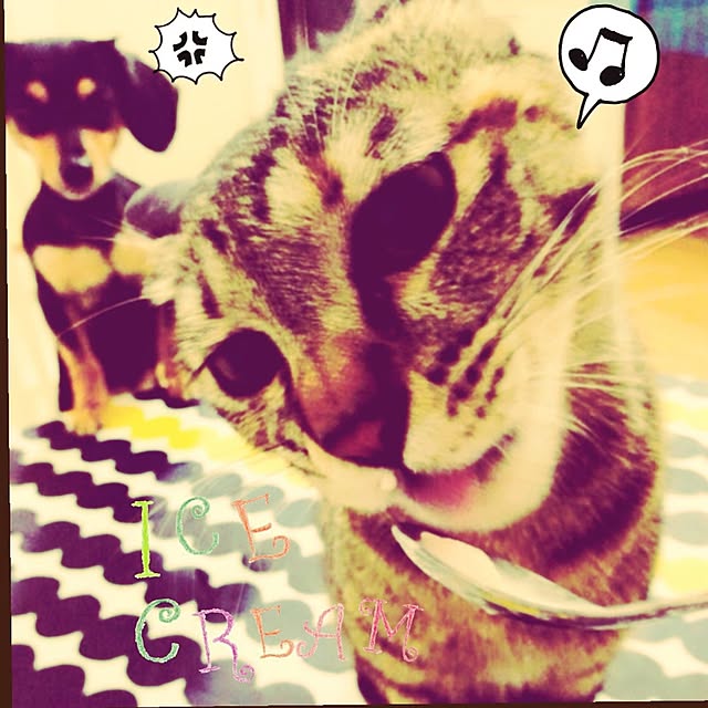 tomi329さんの実例写真