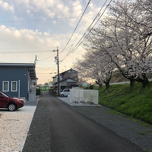 poa.t_hさんの実例写真