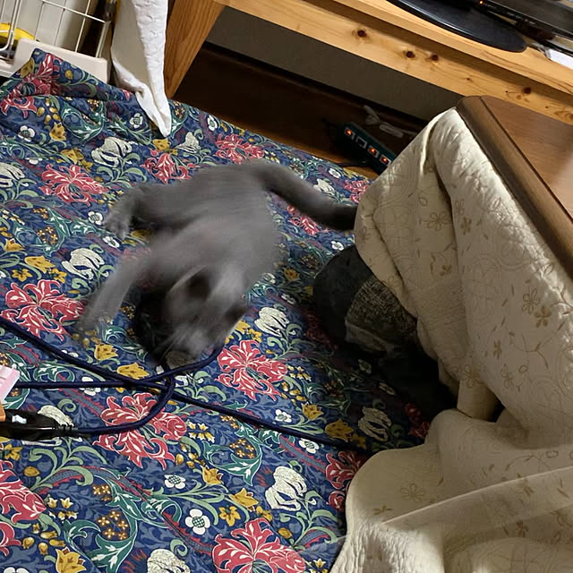 masaさんの実例写真