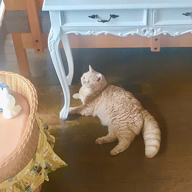 naokoさんの部屋