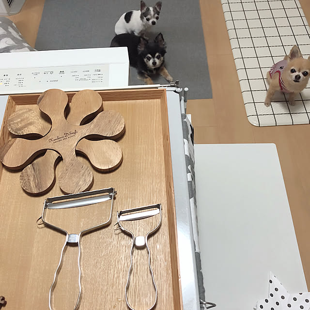 Emiさんの実例写真