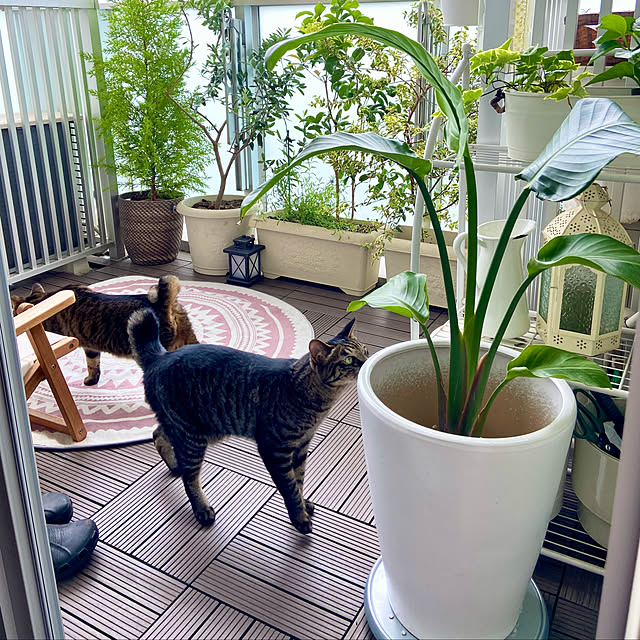 kouさんの実例写真