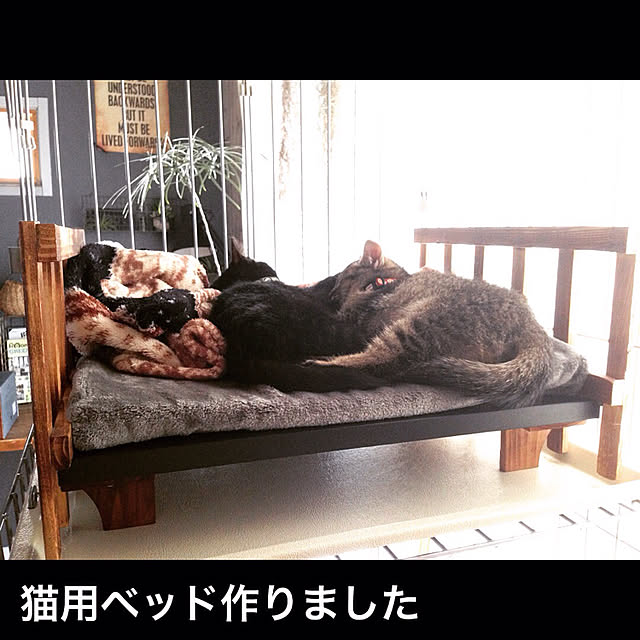 RAKUさんの実例写真