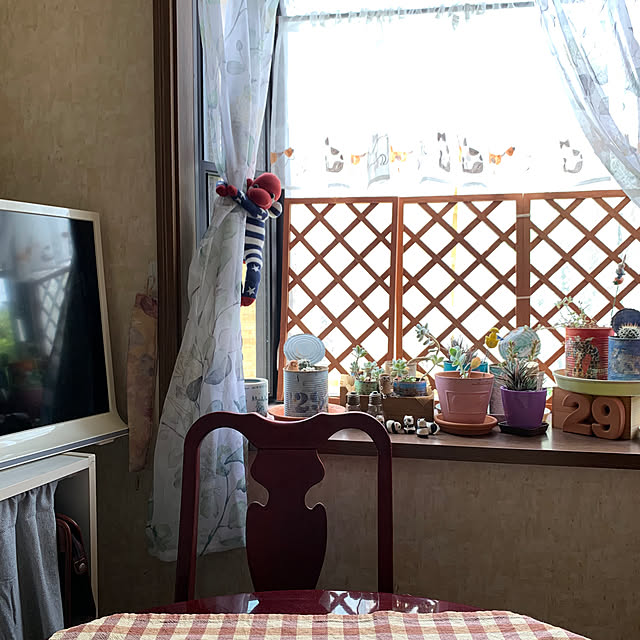 koumekachanさんの実例写真