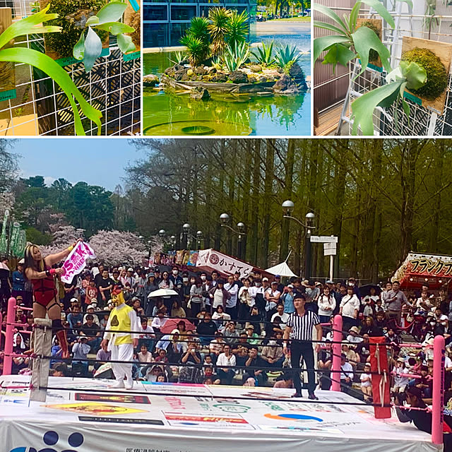 tututu0204さんの部屋