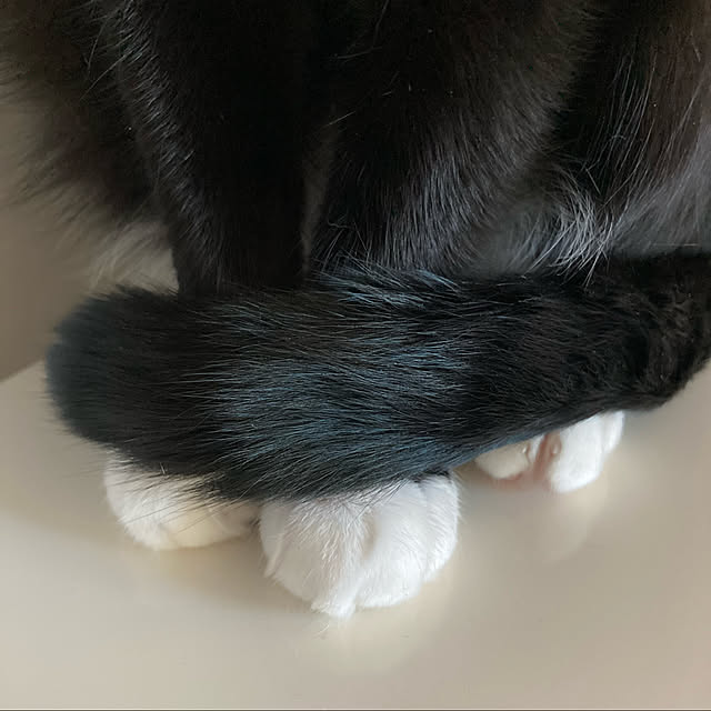 yukichi3さんの実例写真