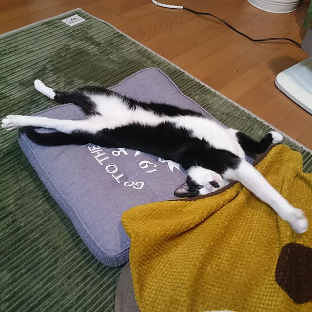 kazaneさんの実例写真