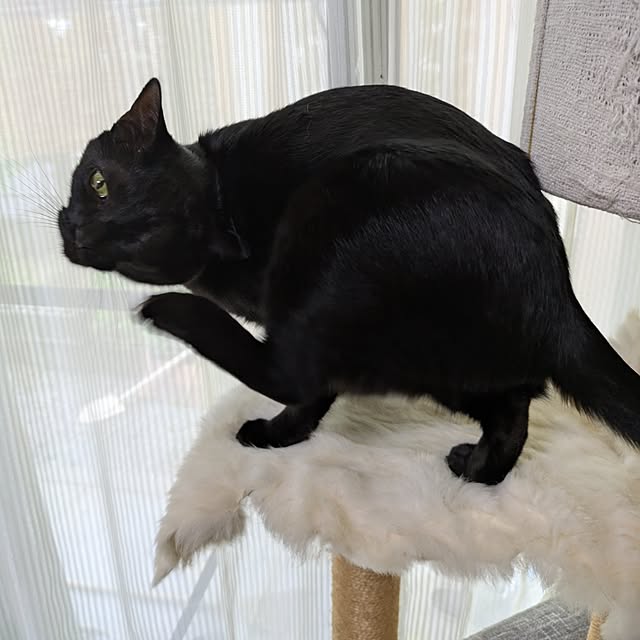 asaさんの部屋